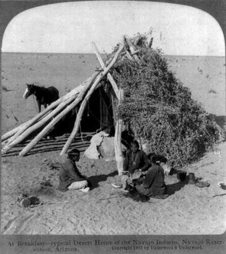 Bare Handed Emergency Shelters